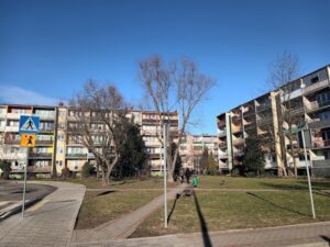 immobilier étudiant