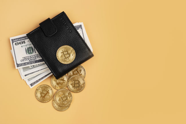 portefeuille matériel de Crypto