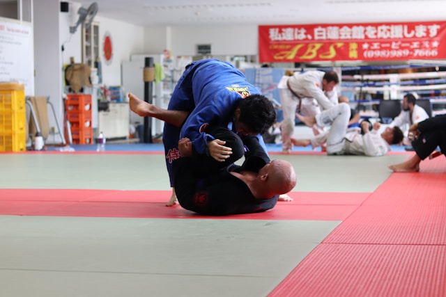 judo à l'écran